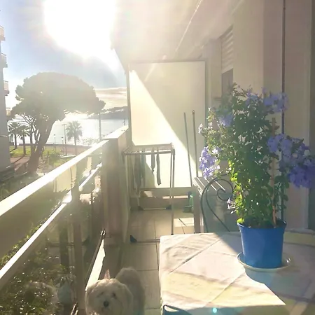 Apartment Nicestudio With Air Conditioning Minimum 7 Nights Antibes